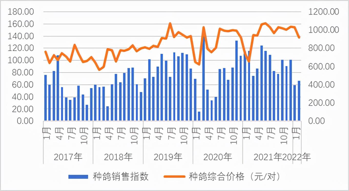 2022年养鸽子前景怎么样，全国鸽产品价格行情走势