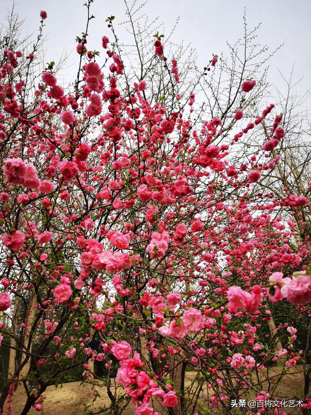 劳动最光荣是谁的名言，劳动最光荣是谁说的（人民创造历史，劳动开拓未来）