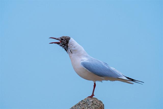 别人不尊重你你要怎样对待，当别人不尊重你时怎么办（看看职场高手怎么做的）