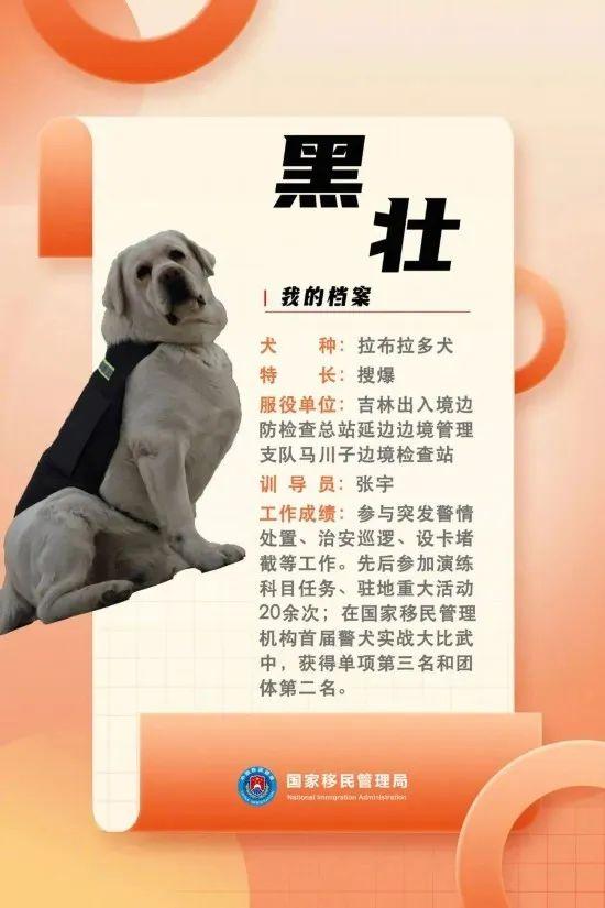 汪汪队立大功百科,汪汪队立大功人物介绍(国家首批功勋犬简历曝光) 汪汪队立大功百科,汪汪队立大功人物介绍(国家首批功勋犬简历曝光)