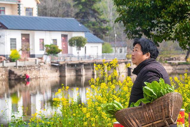 河南红色旅游景点，豫南一条红色旅游线路（河南红色旅游景点排名前十名）