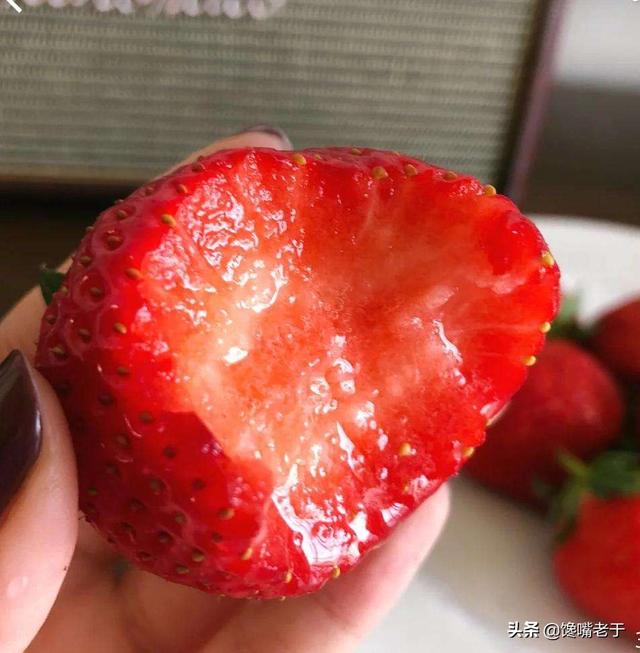 怎么挑选嘉宝果，怎么挑选嘉宝果选树叉多的好吗（惊蛰过后：无论有钱没钱）