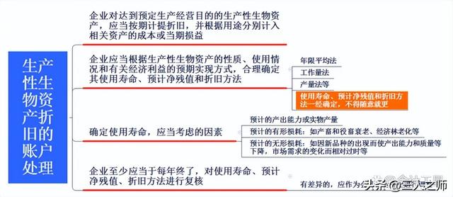 消耗性生物资产，消耗性生物资产是什么（生物资产案例分析及关键考点）