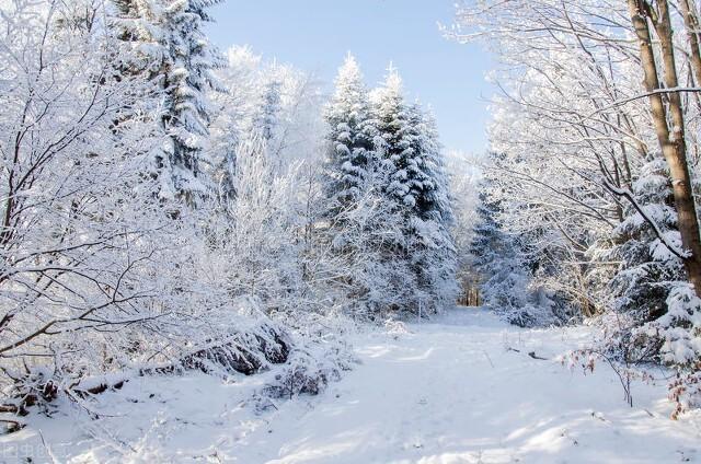 2021二伏天是几月几号，2021年二伏是哪天（元旦后或再迎新一轮冷空气）