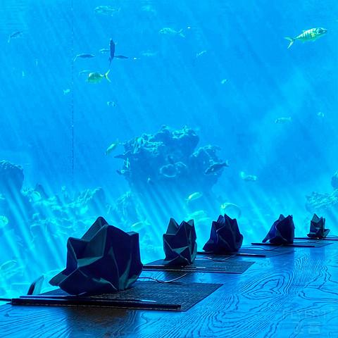 近乎完美的体验，入住报告，三亚维也纳国际酒店