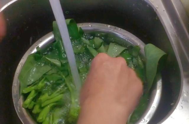 蒜泥空心菜，蒜泥空心菜的做法（蒜泥空心菜图片）