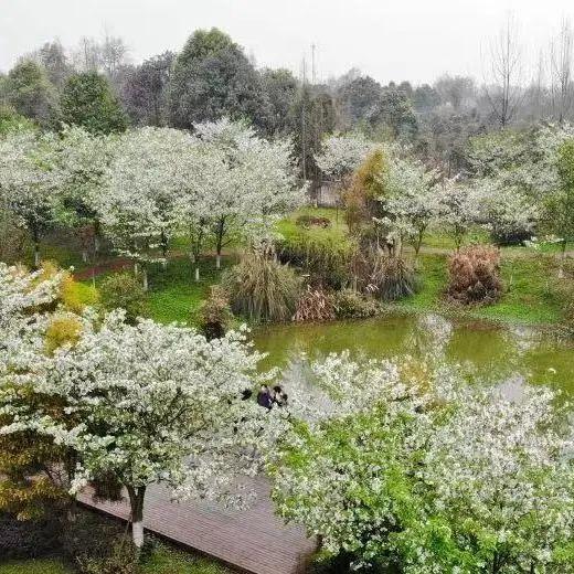 成都工商职业技术学校，四川工商职业技术学院2019年招生章程（打卡这所AAA级景区标准高校）