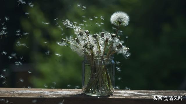 极度抑郁的句子，极度抑郁绝望的句子（心情有点糟糕情绪有点上头说说）