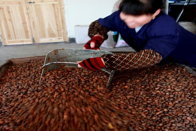 山茶油可以炒菜吗，山茶油炒菜的危害（听说茶油吃多了不好）