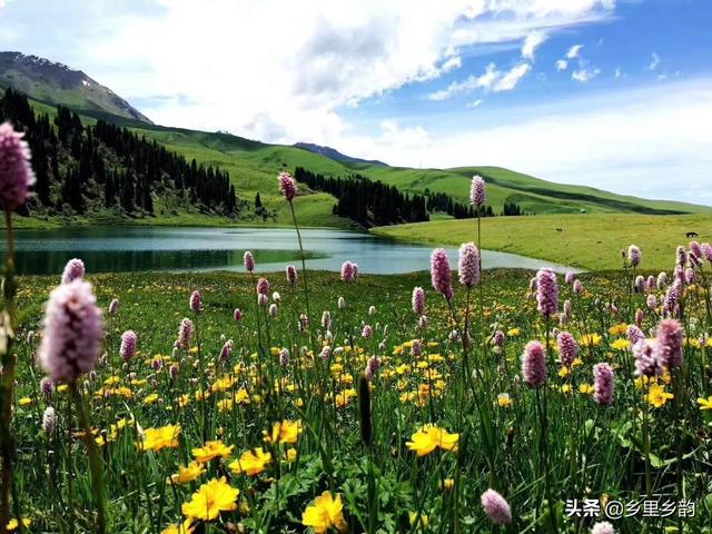 南疆和北疆的区别，第一次到新疆（南疆和北疆的区别很大）