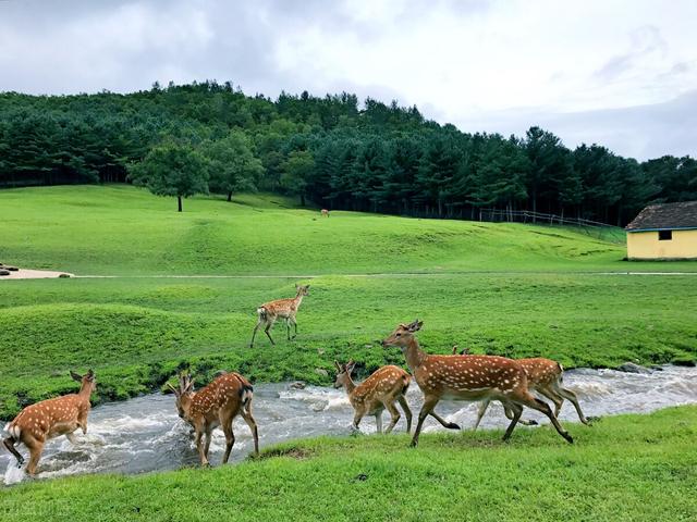 七八月份国内最佳旅游地方，七八月份国内最佳旅游地方溜娃（到这10个最佳旅游胜地）