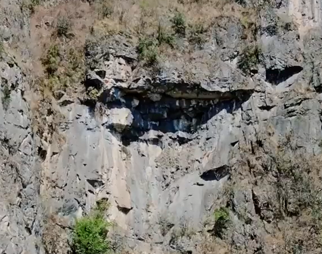 燕窝的价格，燕窝的价格表（贵的一斤卖2万6,两个儿子不愿意学,手艺即将失传）