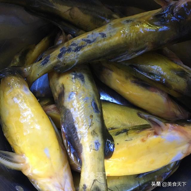 嘎魚又叫什麼魚,嘎魚的家常做法(家常嘎魚這樣做)