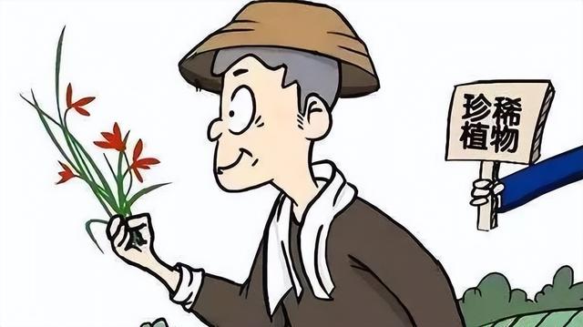 小动物有哪些自我保护的办法，你还知道哪些小动物的自我保护方法（保护野生动植物，从你我做起）