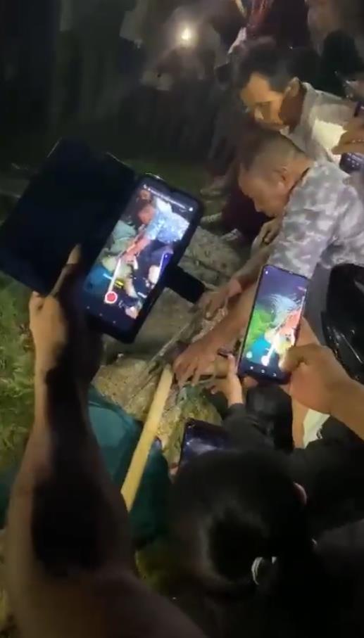 鳄鱼是保护动物吗，鳄鱼是不是国家保护动物（印尼野生巨鳄被轮胎套脖6年）