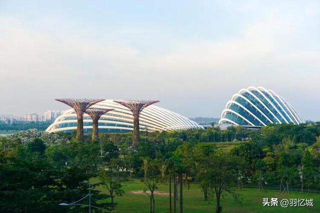 新加坡有什么特产，新加坡有什么美食特产除了肉干（宝藏级的新加坡旅游攻略）