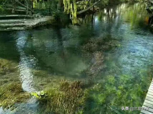 葛薯可以生吃吗，葛薯可以生吃吗（葛薯）