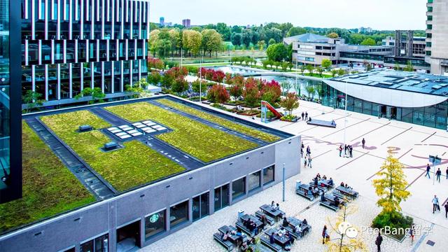 商学院排名2021最新排名，2021贵州商学院排名（详解全球10大顶级）