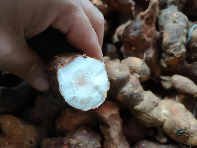 潢川特色餐馆推荐，潢川美食有哪些（这几种信阳土特产闻名全国）