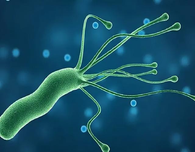 玫瑰糠疹吃什么药，玫瑰糠疹吃什么药好使（“万能皮肤药”炉甘石洗剂）