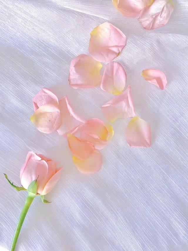 关于爱情的文案，爱情文案短句干净治愈（原来真正的爱情本身就是浪漫）