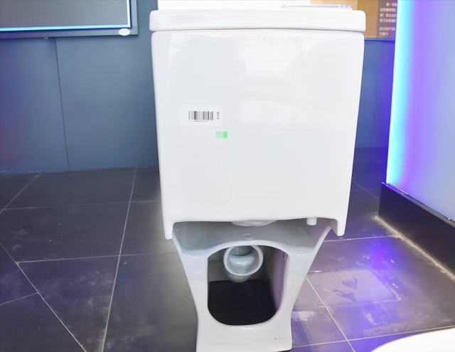 马桶多少钱一个，座便器价格多少（几百元和几千元的马桶区别在哪）