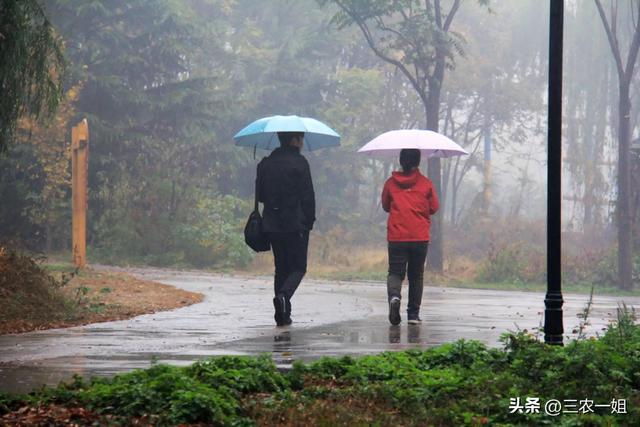 2022年雨水具体时间在几月几号几点几分几秒，雨水时间2021几点几分（明日5号大雨范围确认）