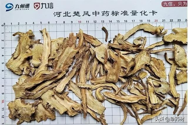 鲜金钱白花蛇，金钱白花蛇产地（当归、川牛膝、蒺藜、金钱白花蛇、佛手、地黄、连翘等行情简析）