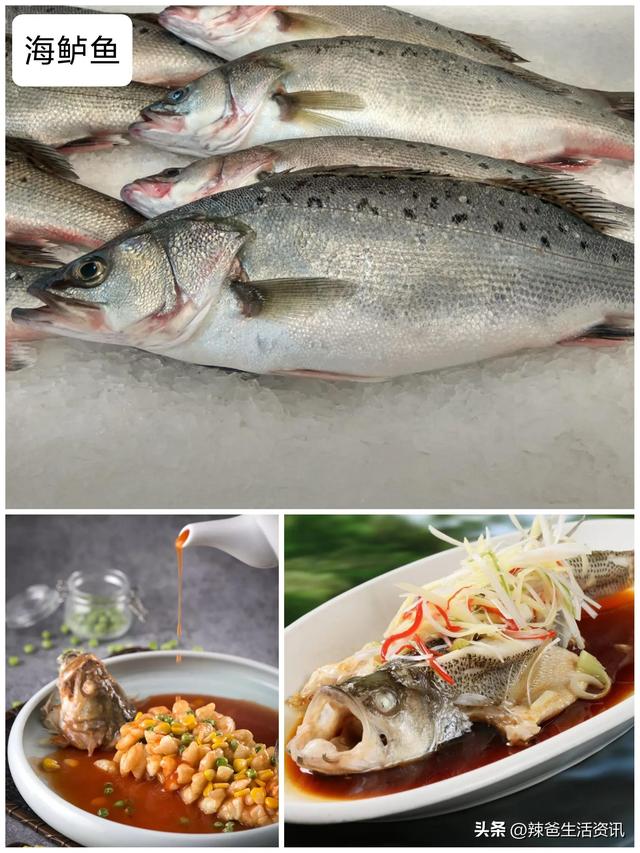 海鱼的做法大全，五种海鱼的美味做法（8种宴席“镇桌主菜”的海鱼）