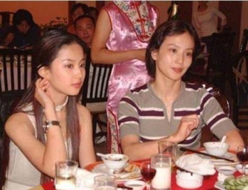 "神仙姐姐"刘亦菲：外貌出色被挖掘，后拍戏太过敬业，多次险丢命