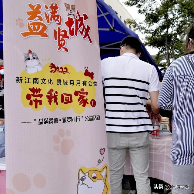 上海宠物领养活动，收养代替购买~在奉浦街道