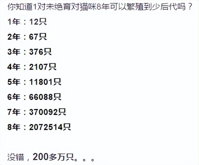 猫做绝育手术需要多少钱，猫咪做绝育手术需要多少钱（你必须知道的猫咪绝育那些事）