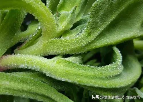 最新投资创业项目，适合年轻人小投资的创业项目（投资几千元就可以做的）