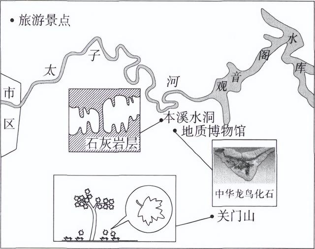 世界八大珍稀植物，2023届高考地理题型突破——必修一