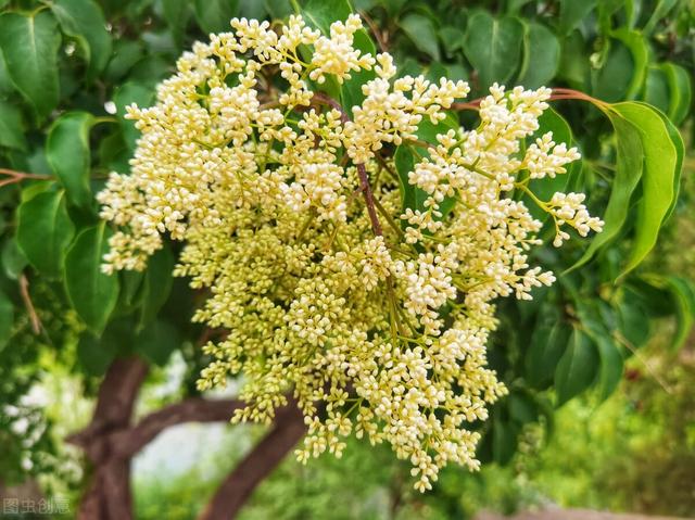 鱼戏湖中月蜂恋陌上花，25句表达“我想你”的诗句