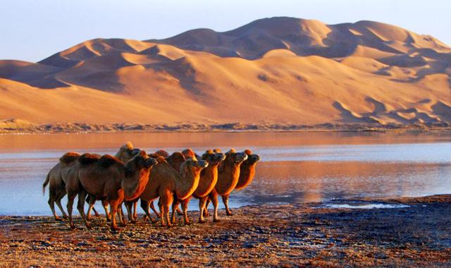 震惊！中国的这十个最美景区你竟然一个都没去过，震惊!中国的这十个最美景区你竟然一个都没去过的地方（但景色绝佳的十大旅行地）