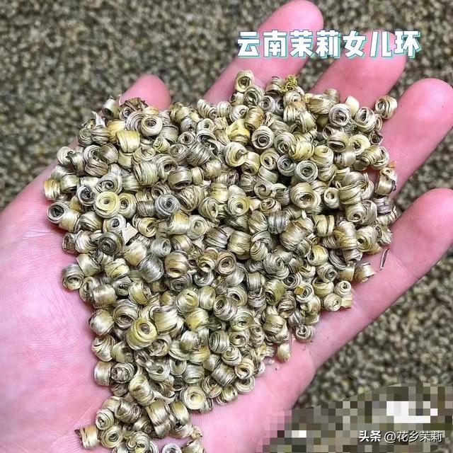 茉莉花茶产地是什么，茉莉花茶产地是什么地区（盘点各个产区的茉莉花茶口感）