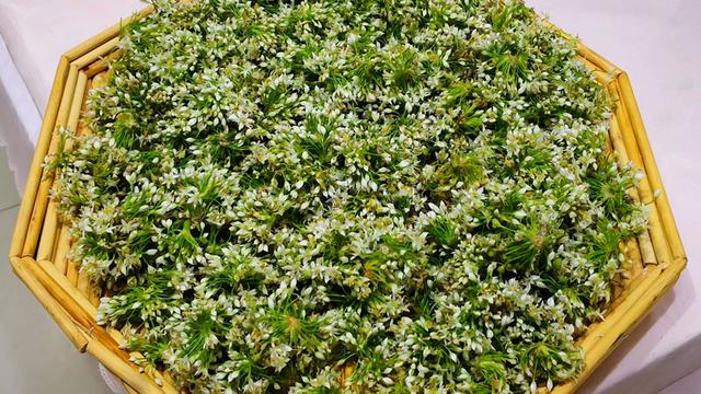 韭菜花酱怎么吃，韭菜花酱怎么做好吃（碰到韭花别错过）