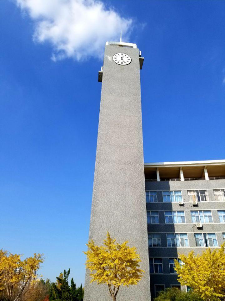 大学校园爱情（这对学霸情侣双双上岸985）