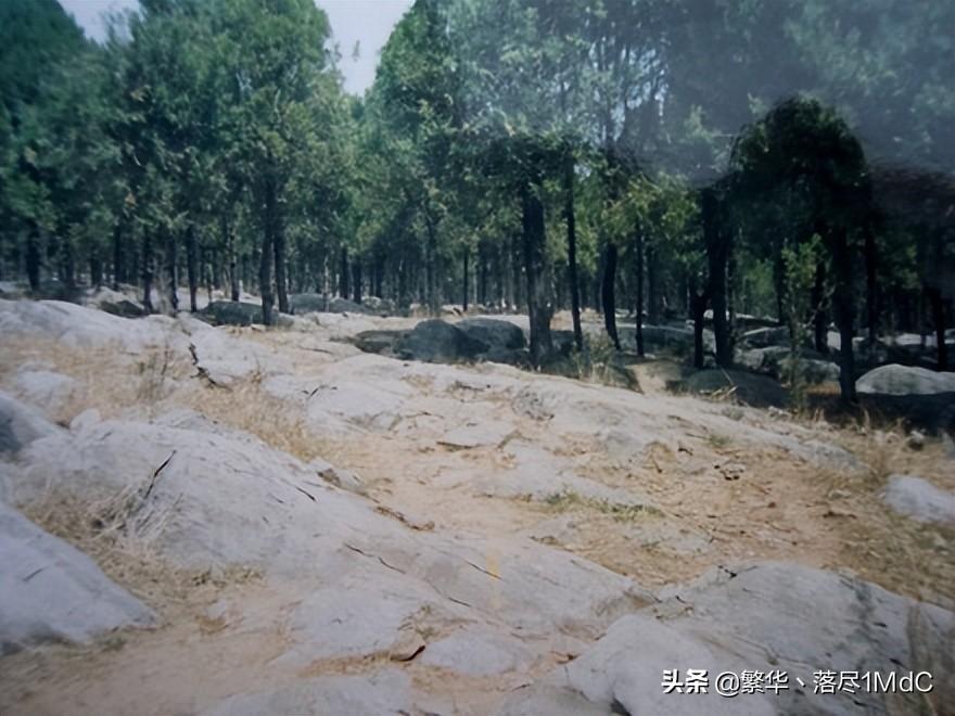徐州市铜山区()