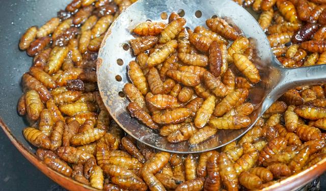 鹌鹑蛋是发物吗，属于发物的食物一览表（8种“增补食物”要多吃）