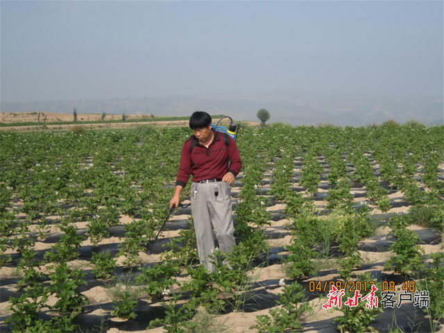 为了大地的丰收，为了大地的丰收是哪首歌（为了大地的丰收是哪首歌的歌词）