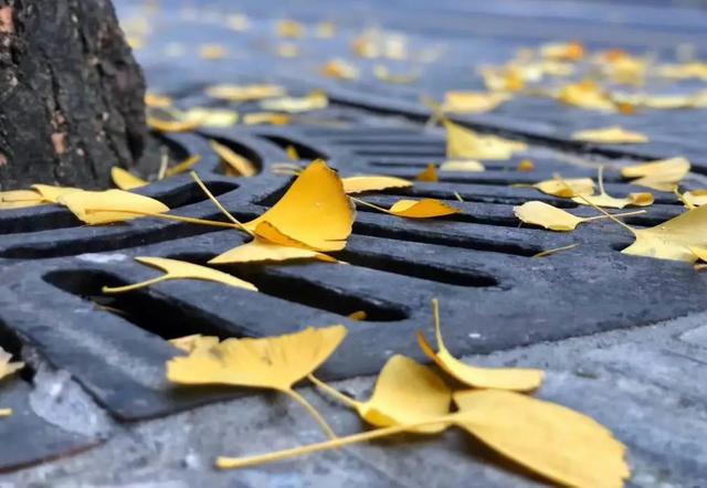 对影成三人是哪三人，对影成三人指的是谁（秋天的十大雅事）