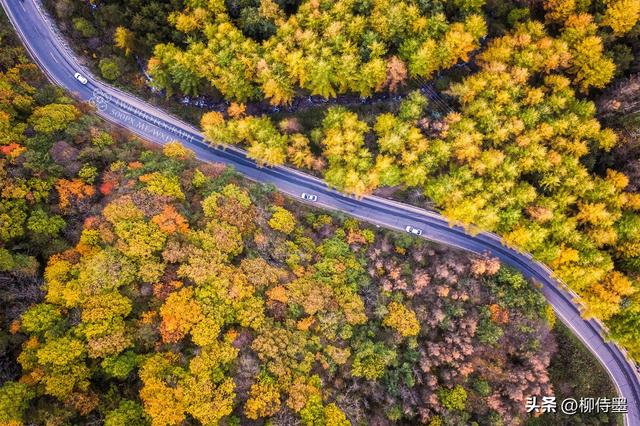 好看的照片风景，怎样才能拍出好看的风景照片（4句口诀让照片更有看点）