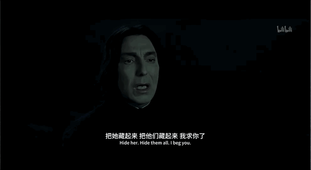 斯内普是好人还是坏人，《哈利波特》中斯内普是好的还是坏的（被嫌弃的斯内普的一生）