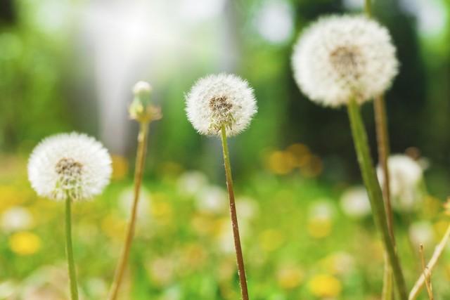 爱一个人的几大表现，爱一个人的十大表现（爱自己的10个表现）