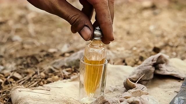 什么是尸油，什么是尸油口红（什么是“尸油”）