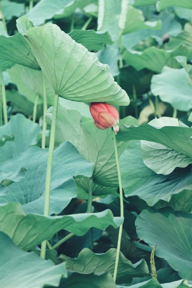 比较有道理的句子，十分有道理的句子（21条富含人生感悟的说说）