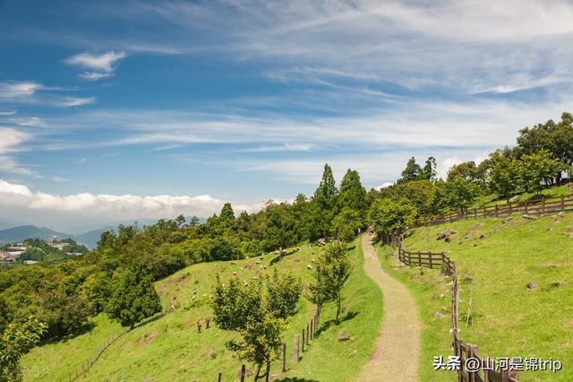 亲子游去哪里玩比较好，暑期亲子游（国内最具特色的十大亲子农场推荐）