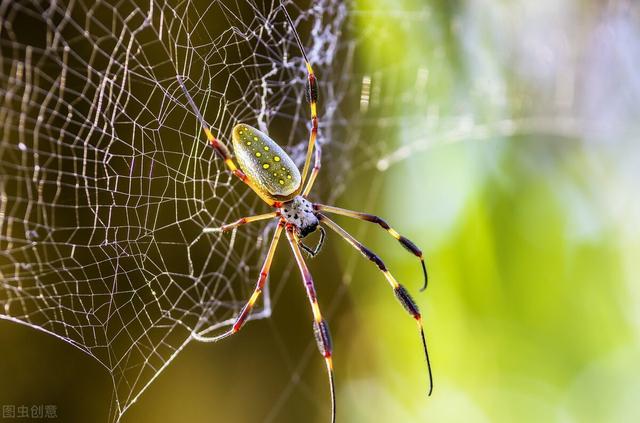 关于得意忘形的造句，用得意忘形的造句（得意忘形，灾祸降临）